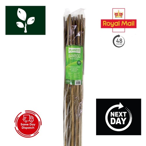 Bamboo canne pali - 5', (150cm)