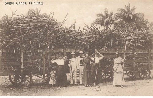 Antilles trinidad sugar - antilles,