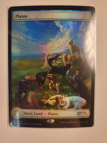 Plains full art - plains, sld
