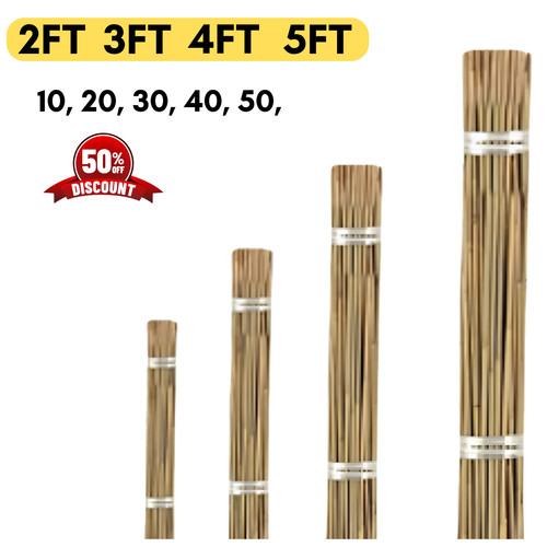 Bastone supporto cura - cura, piante
