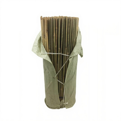 Canne bambù palo spesso 3 - bambù,